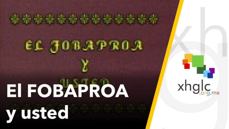 El FOBAPROA y usted [Baja Resolución]