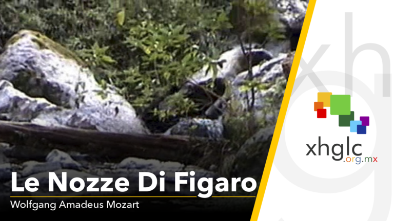 Le Nozze di Figaro (Wolfgang Amadeus Mozart) [Baja resolución]