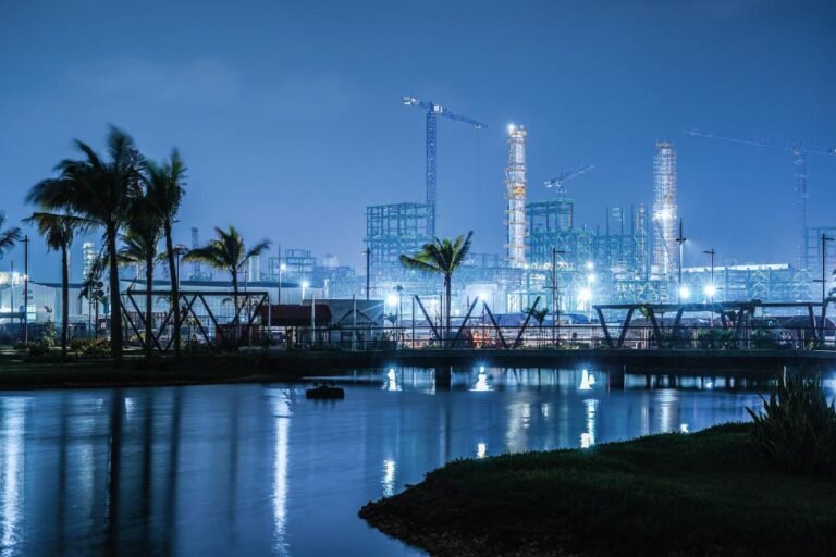 Soberanía contra Neoliberalismo ante la Crisis Energética Global